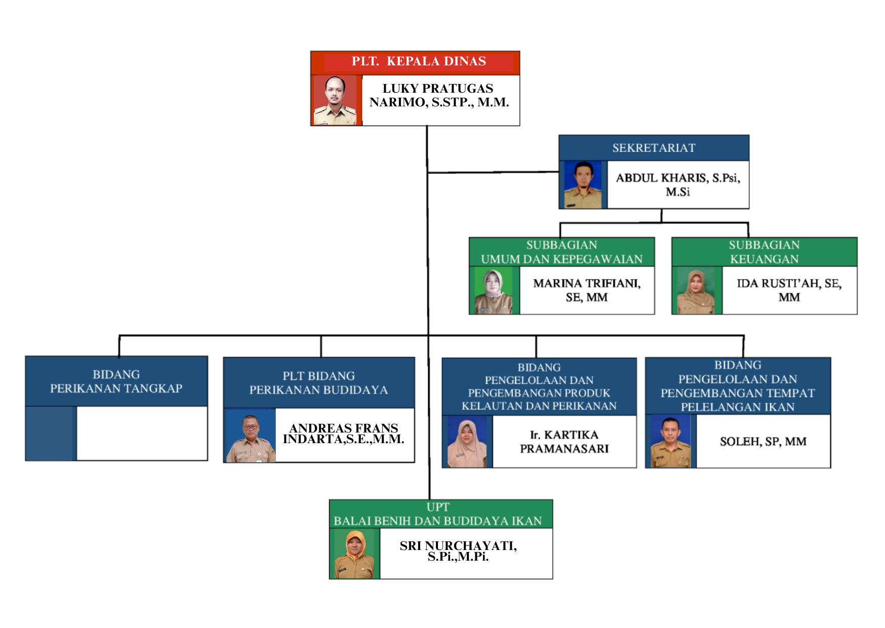 Struktur organisasi